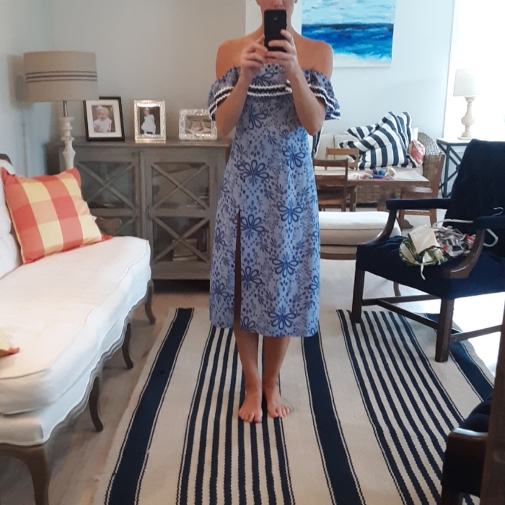 Red Carter blue floral dress
